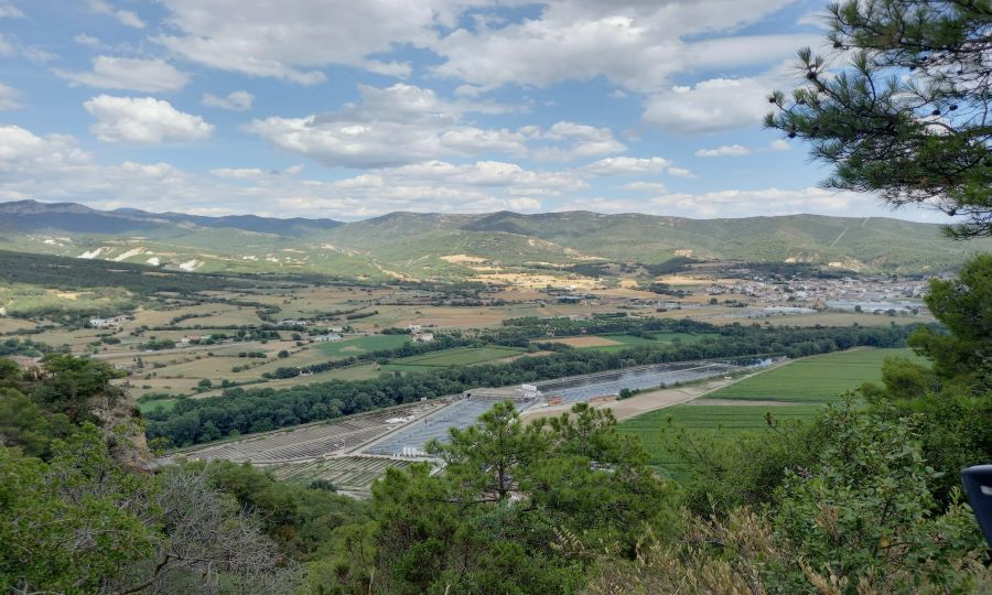 Viveros del Segre